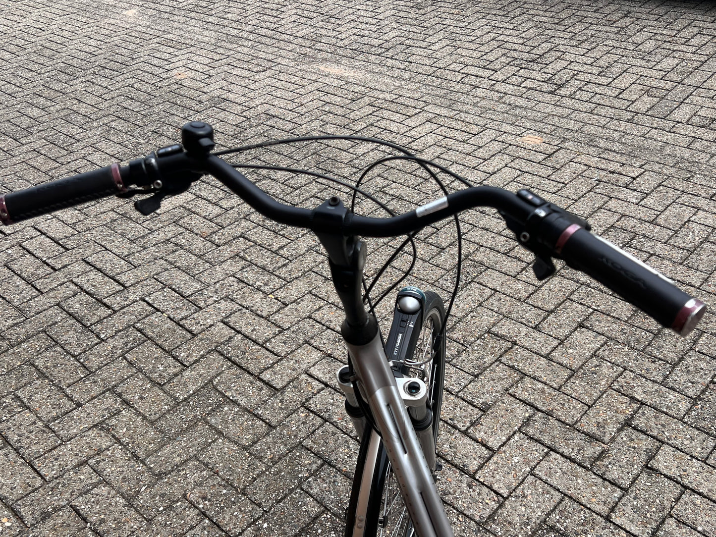ZGAN Koga Miyata Confidence Lage Instap (188)