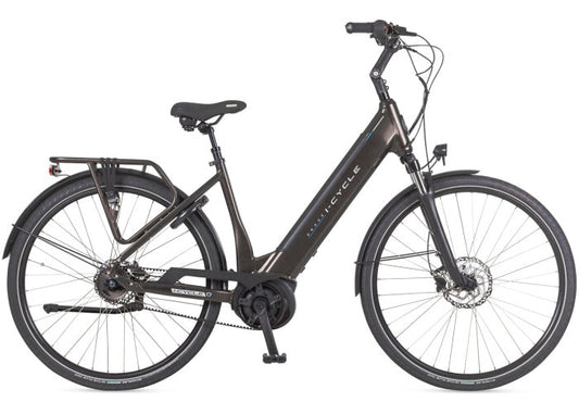 Icycle Orage Intube Bosch Performance Line Middenmotor Belt Lage instap