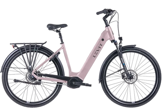 LEVIT BELECO 7 lowstep Rose